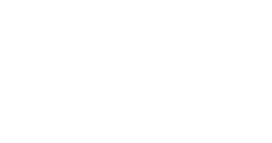 Salar Book Store
