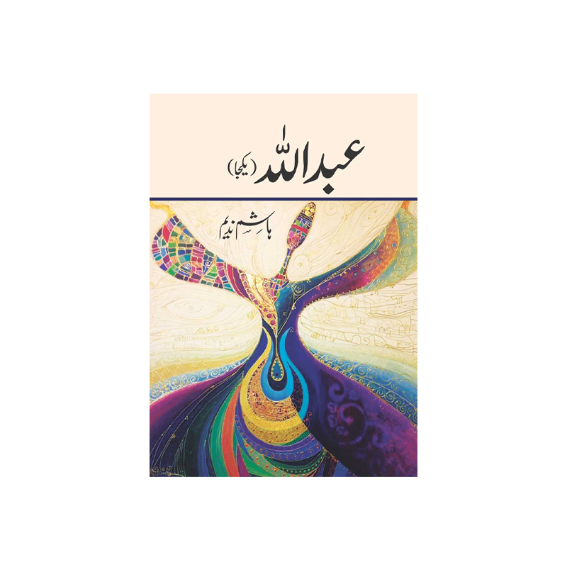 Abdullah all Parts by Hashim Nadeem – Salar Book Store